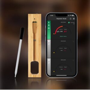 Wireless Thermometer